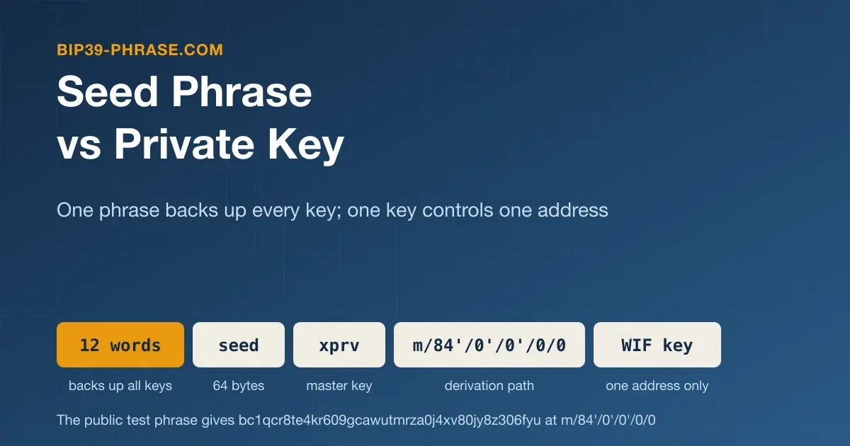 Seed Phrase vs Private Key: What's the Difference?