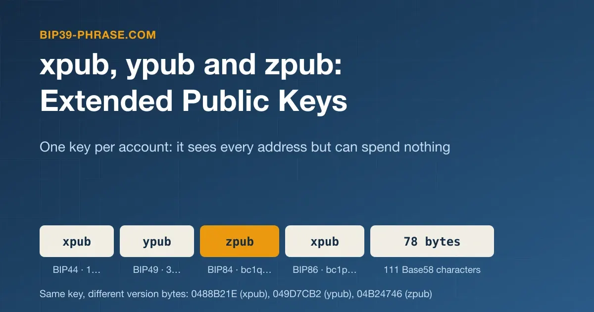 xpub, ypub and zpub: Extended Public Keys Explained