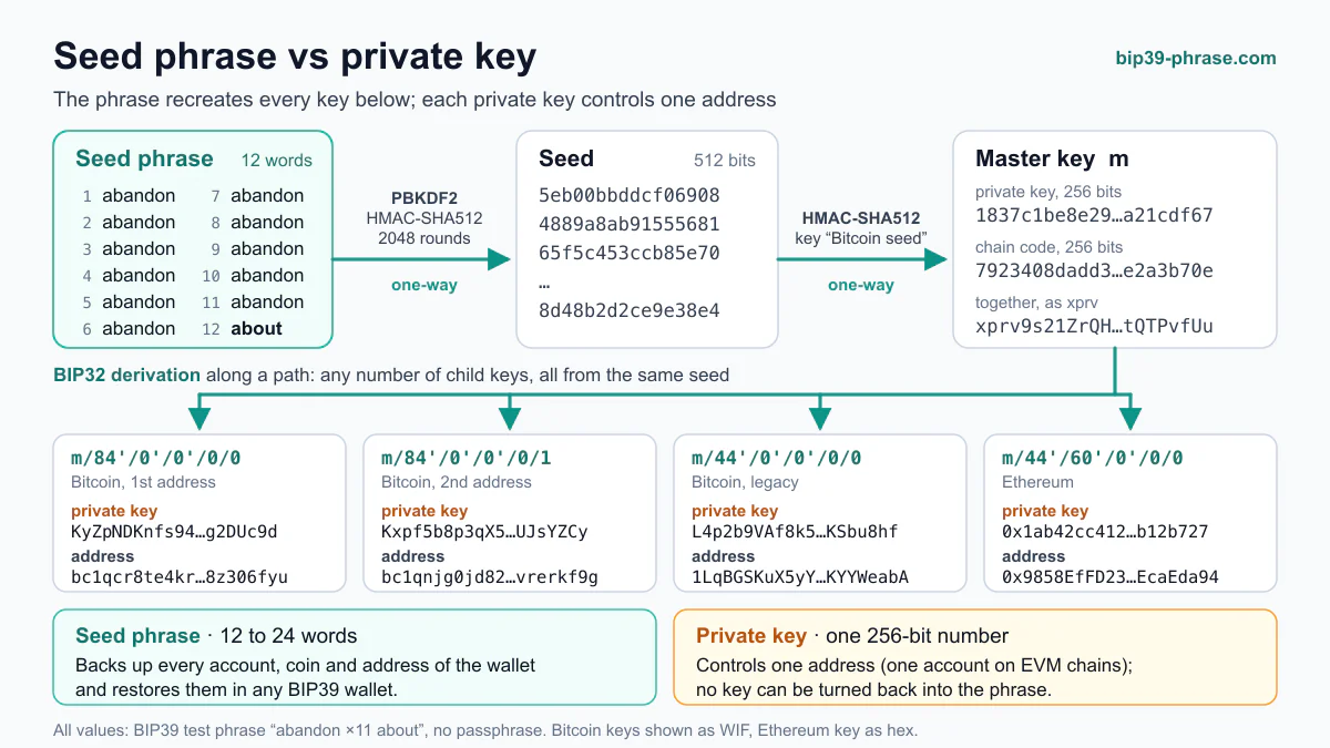 Diagram of one seed phrase producing many private keys: 12 words, PBKDF2 to a 512-bit seed, HMAC-SHA512 to the master key, then BIP32 child keys and addresses for Bitcoin and Ethereum.