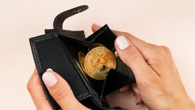 What Is a Crypto Wallet? What It Stores and How It Works
